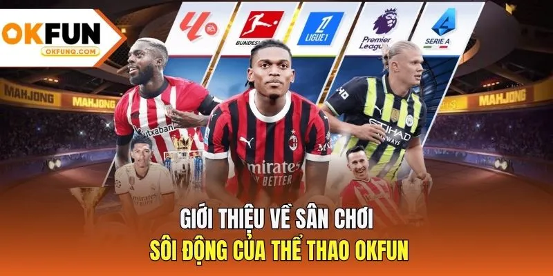 Giới thiệu về sân chơi sôi động của thể thao OKFUN