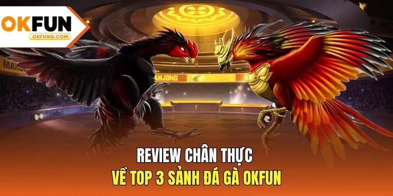 Review chân thực về top 3 sảnh đá gà OKFUN